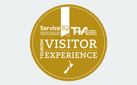Visitor Experience icon