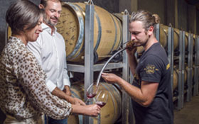 Cellar Door web