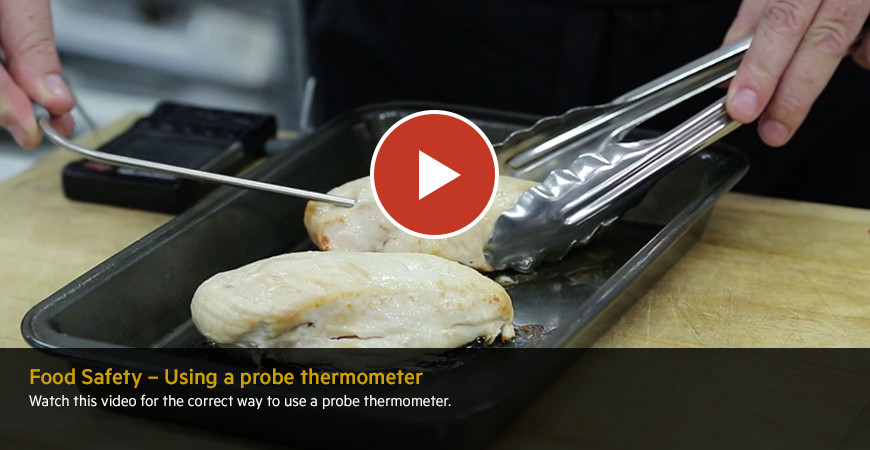 FoodSafety ProbeThermometer
