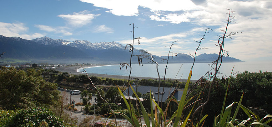 AlpinePacificMotelPark Kaikoura News